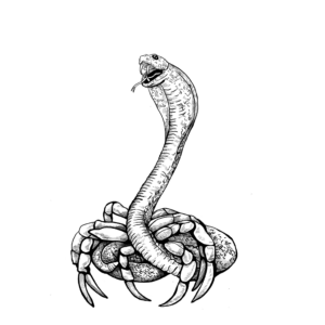 SheetCrabshnake