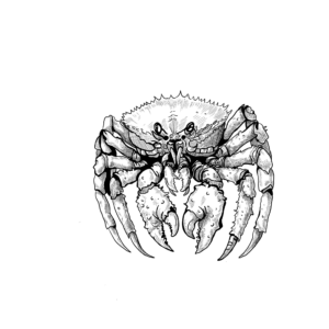 SheetMegacrab